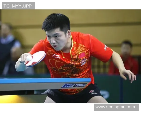 南京乒乓球队在挑战赛中的意识表现分析与点评 南京乒乓球队在挑战赛中的意识表现分析与点评